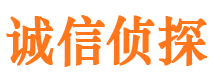 王益市侦探调查公司